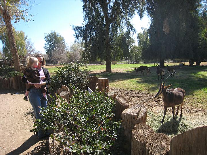 2nd Birthday at the zoo 03.JPG